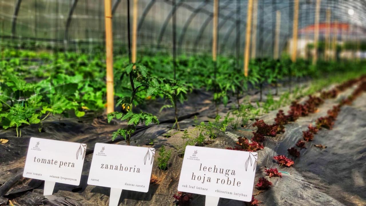 Augusta Eco Wellness Resort 4 Superior Санксенсо Екстериор снимка